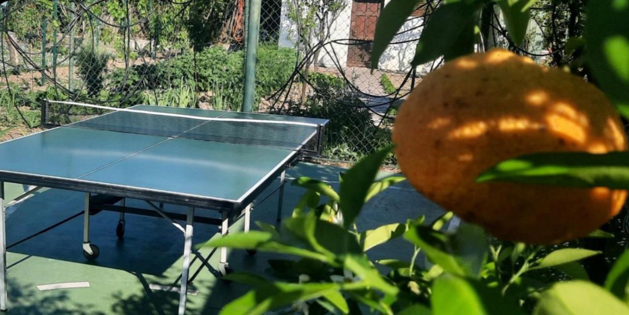 El Sol * Бар