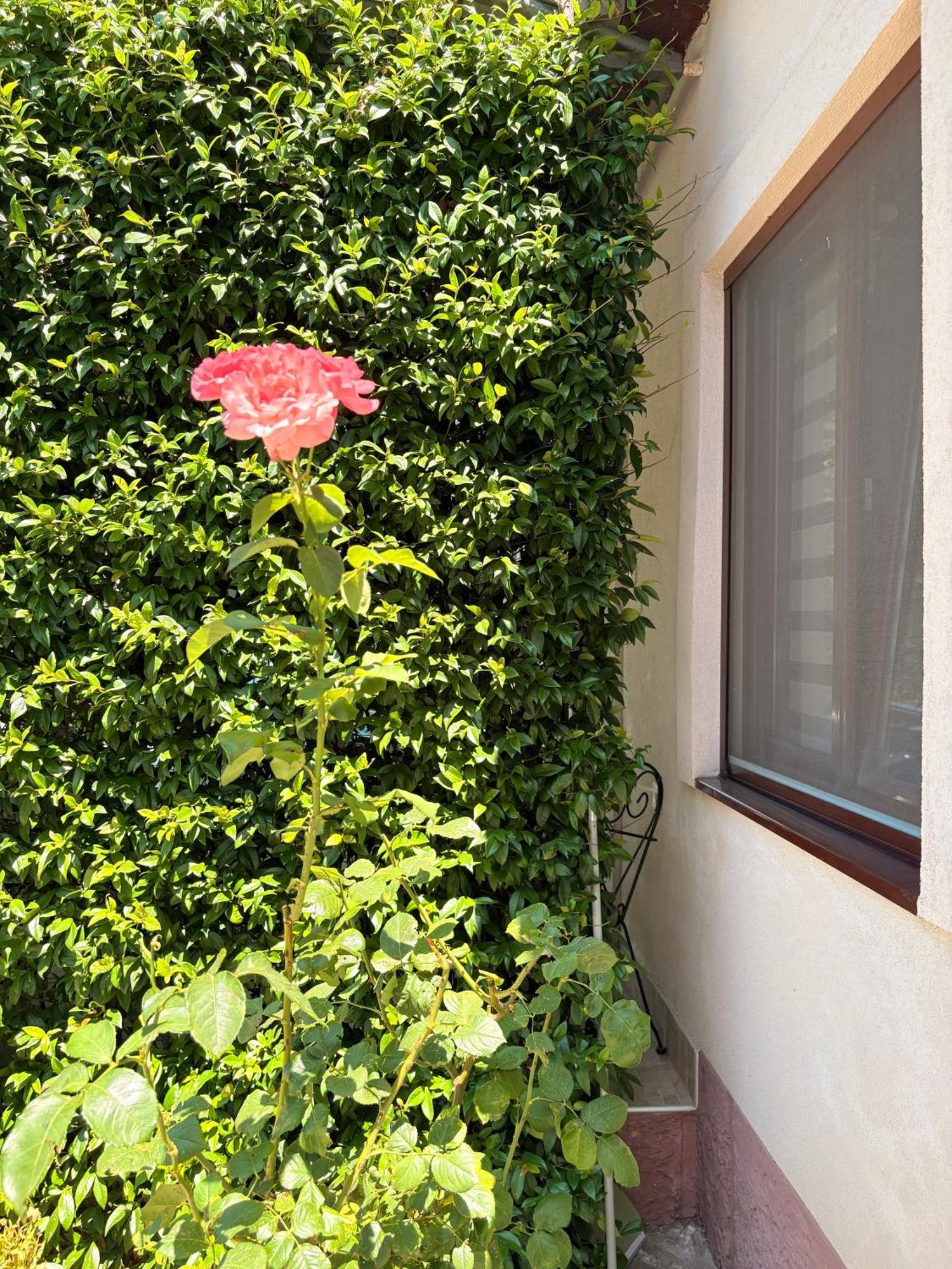 Appartement El Sol